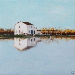 Albufera 7